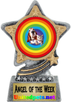 an angel of the week award